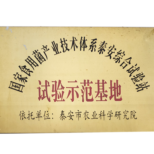 试验示范基地